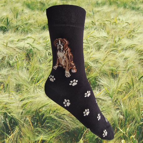 Hazy Blue Womens Dog Socks Bamboo Blend Size 4 to 8 - Just £5.99! Shop now at Warwickshire Clothing. 