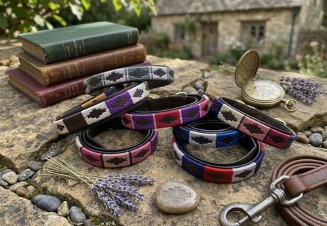 Hazy Blue Polo Dog Lead