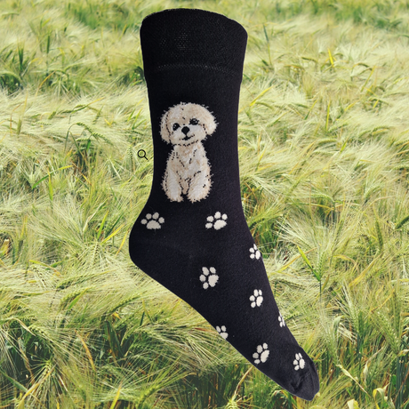 Hazy Blue Womens Dog Socks Bamboo Blend Size 4 to 8 - Just £6.99! Shop now at Warwickshire Clothing. 