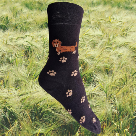 Hazy Blue Womens Dog Socks Bamboo Blend Size 4 to 8 - Just £6.99! Shop now at Warwickshire Clothing. 