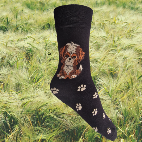 Hazy Blue Womens Dog Socks Bamboo Blend Size 4 to 8 - Just £5.99! Shop now at Warwickshire Clothing. 