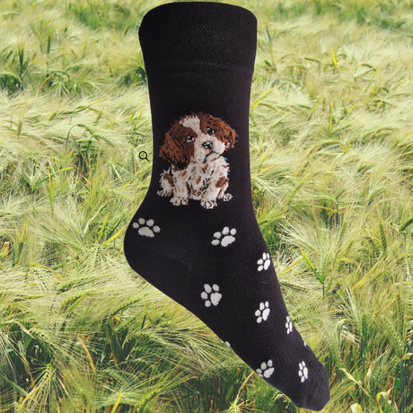 Hazy Blue Womens Dog Socks Bamboo Blend Size 4 to 8 - Just £5.99! Shop now at Warwickshire Clothing. 