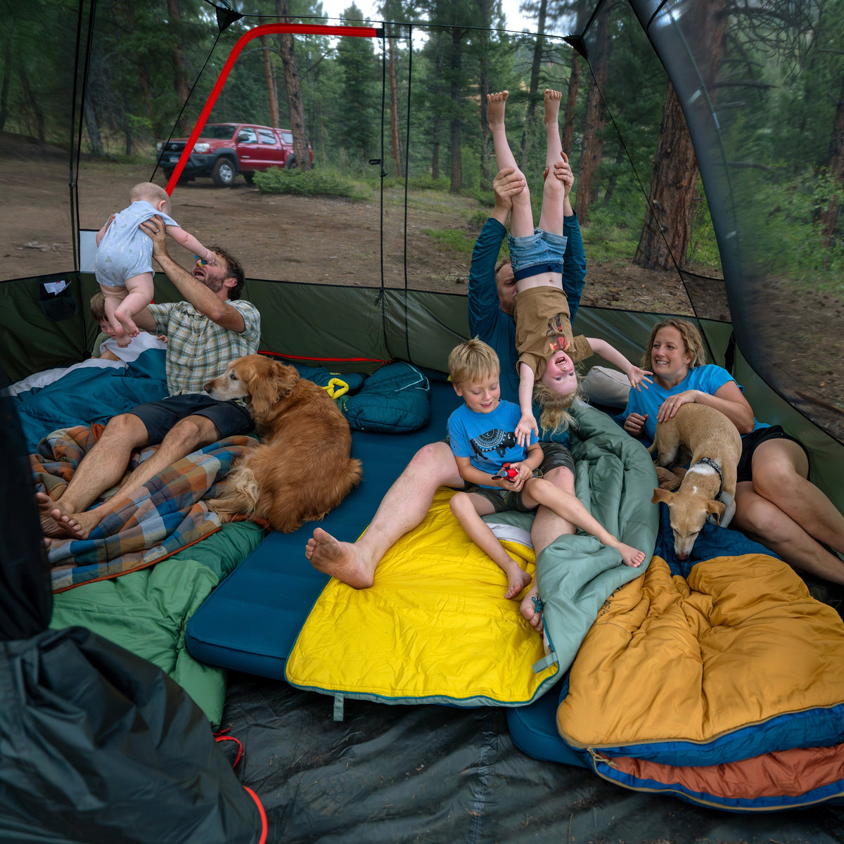 Kelty Wireless 8 Person Tent - Dill/Black Forest